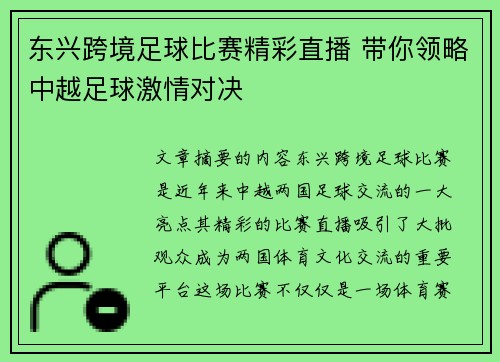 东兴跨境足球比赛精彩直播 带你领略中越足球激情对决